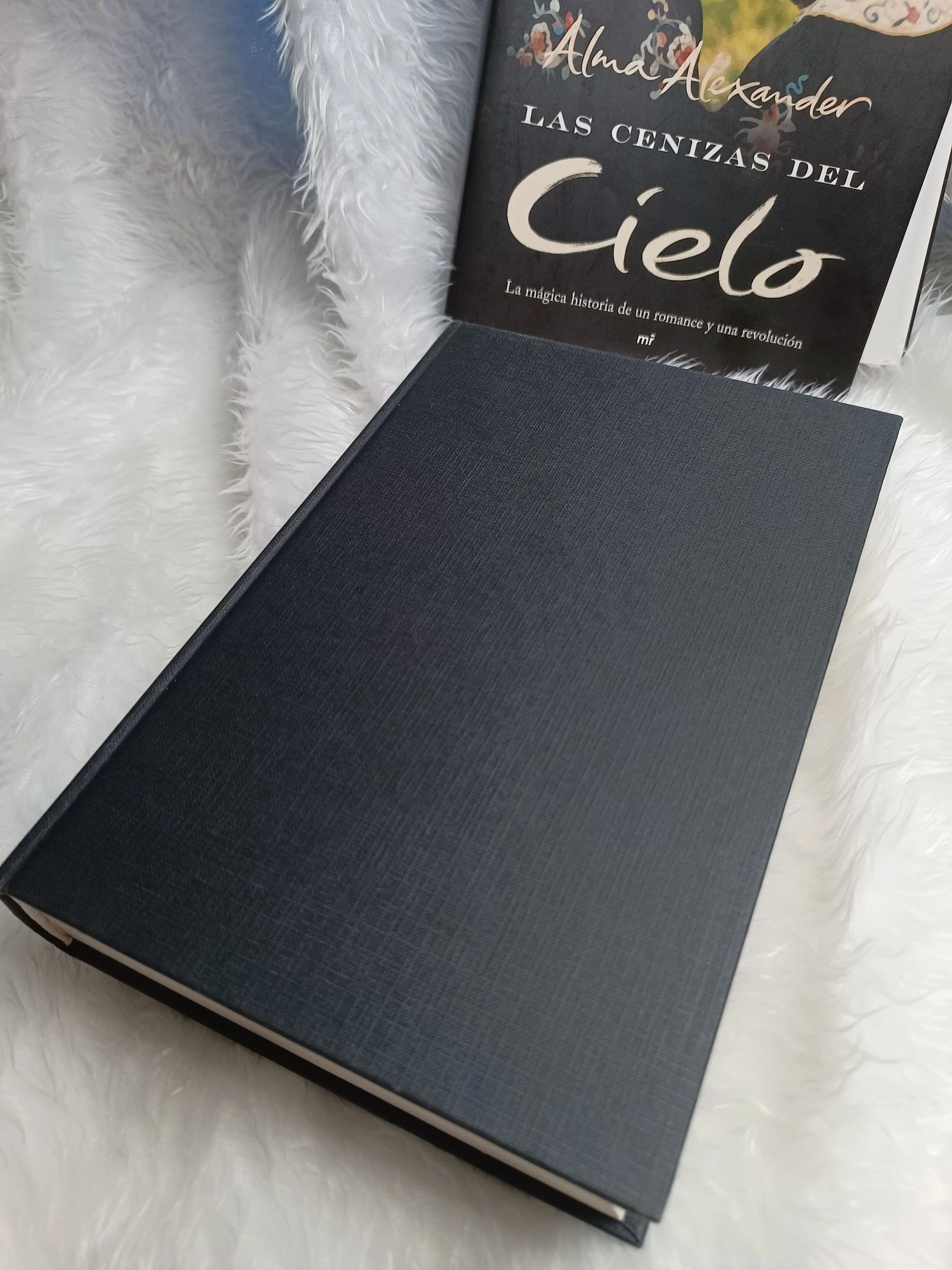Boek De As van de Hemel – photo 10